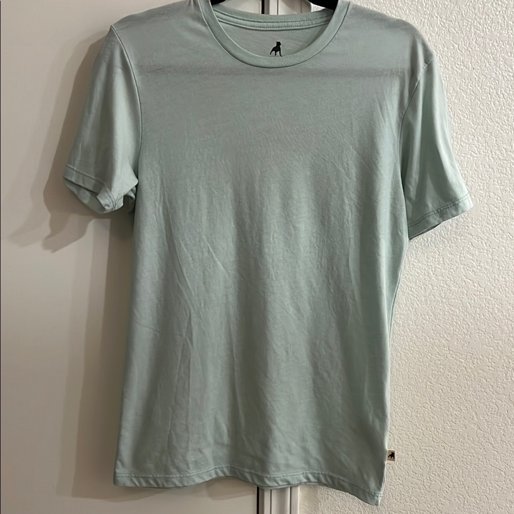 Men's Light Green T-Shirt